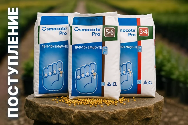 Поступление Osmocote!